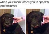 when your mom forces you to speak to your relatives