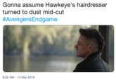Gonna assume Hawkeye's hairdresser turned to dust mid-cut #AvengersEndgame 8:32 AM-14 Mar 2019