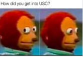 How did you get into USC? made with mematic