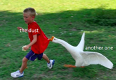 the dust another one