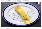 cant wait to eat a Doggomelette 8:30 PM -1 Mar 2019