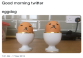 Good morning twitter eggdog 7:21 AM-17 Mar 2019