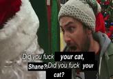 Did you f--- your cat, Shane?Did you f--- your cat?