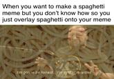 When you want to make a spaghetti meme but you don't know how so you just overlay spaghetti onto your meme I'm gonna be honest... mkindorefarde