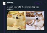 πιτσα 3.0 @ihavenogfhelpme Follow look at how old the meme dog has gotten 6:37 PM 19 Mar 2019