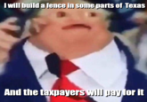 I will build a fence in some parts of Texas And the taxpayers will pay for it