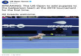 US Open Tennis @usopen usopen BREAKING: The US Open to add puppies to the ballperson team at the 2019 tournament for the first time All breeds welcome 9:42 AM 1 Apr 2019