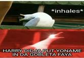 *inhales* HARRY DIDJA PUT YONAME IN DA GOBLETA FAYA