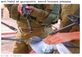 am held at gunpoint, send troops please 5:17 AM -17 Feb 2019