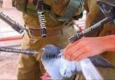 hitler tso raun's h usba he guy who killed Hitler Hitler