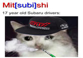 itfsubilshi 17 year old Subaru drivers: TECNICA TLONA