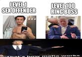 LEVEL1 LEVEL100 SEXOFFENDEB RING BOSS