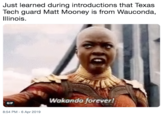 Just learned during introductions that Texas Tech guard Matt Mooney is from Wauconda, Illinois. Wakanda forever! GIF 8:54 PM-6 Apr 2019
