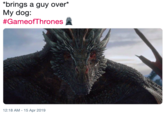 brings a guy over* My dog: #Game°Thrones 12:18 AM -15 Apr 2019