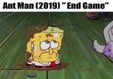 Ant Man (2019)" End Game"