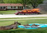 The Westfold Gondo AISO Gondor