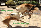 Why Fren? Am Bruce Lee Pls No Kun Fu