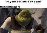 In this meme found on "Cheezburger":/memes/sites/cheezburger "Shrek":/memes/subcultures/shrek references the iconic experiment involving "Schrodinger and his cat":/memes/schrodingers-cat. No "cats":/memes/subcultures/cats were harmed in the process of making this meme.