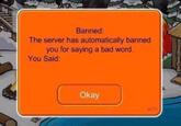 Banned: The server has automatically banned you for saying a bad word. You Said: Okay s610