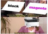 Scene from "The Office":https://knowyourmeme.com/memes/subcultures/the-office with Pam saying ""they're the same picture"":https://knowyourmeme.com/memes/theyre-the-same-picture between two pieces of paper. One says black and the other "magenta":https://knowyourmeme.com/memes/printer-magenta. The meme was used in a Cheezburger Memebase listicle about printer memes that are very popular online.
