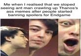 Me when I realised that we stoped seeing ant man crawling up Thanos's ass memes after people started banning spoilers for Endgame