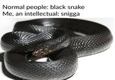 Normal people: black snake Me, an intellectual: snigga