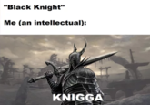 "Black Knight" Me (an intellectual): KNIGGA