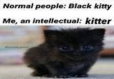 Normal people: Black kitty Me, an intellectual: kitter @humanity.gone26