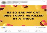 z minutes ago. IM SO SAD MY CAT DIES TODAY HE KILLED BY A TRUCK 5 comments Comment Share Like
