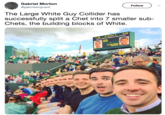 Gabriel Morton @gabrielenguard Follow The Large White Guy Collider has successfully split a Chet into 7 smaller sub- Chets, the building blocks of White 0.00