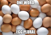 ONE WORD EGG PLURAL