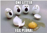 ONE LETTER EGG PLURAL