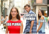 EDUCATED HUMAN EGGS EGG PLURAL