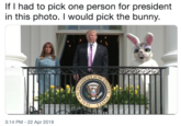 If I had to pick one person for president in this photo. I would pick the bunny T OF TH 3:14 PM -22 Apr 2019