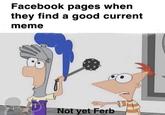 Facebook pages when they find a good current meme 0 Not yet Ferb