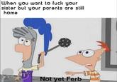When you want to f--- your sister but your parents are still home Not yet Ferb