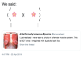We said: Artist formerly known as Byeonce @lemonadead I just realized I never saw a photo of a female muscle system. This is NOT what I imagined milk ducts to look like. Show this thread 4:47 PM - 23 Apr 2019