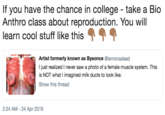 If you have the chance in college take a Bio Anthro class about reproduction. You will learn cool stuff like this ר Artist formerly known as Byeonce @lemonadead just realized I never saw a photo of a female muscle system. This is NOT what I imagined milk ducts to look like. Show this thread 2:24 AM- 24 Apr 2019