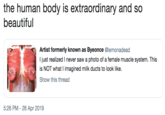 the human body is extraordinary and so beautiful Artist formerly known as Byeonce @lemonadead I just realized I never saw a photo of a female muscle system. This is NOT what I imagined milk ducts to look like. Show this thread 5:26 PM - 26 Apr 2019