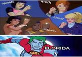 meth opioids i----- guns illiteracy FLORIDA