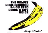 THE VELVET UNDERGROUND & LOU REED DOING A GAY VOICE Andy Warhof 823290-2