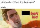 Little brother: *Posts first dank meme* Mods: kid