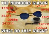 THE NUMBERS MASON 124828 177013 16492 49925 55321 6489 130886 241311 128532 @humanity.gon 100063 WHAT DO THEY MEAN made with mematic