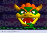 It is a long gay Bowser.