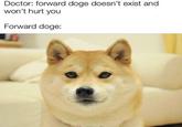 Doctor: forward doge doesn't exist and won't hurt you Forward doge: