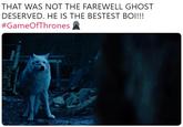 THAT WAS NOT THE FAREWELL GHOST DESERVED. HE IS THE BESTEST BO1!!! #GameOfThrones