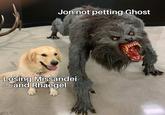 Jonnot petting Ghost Losing Missandei and Rhaegel