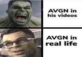 AVGN in his videos AVGN irn real life Bstoopidgod