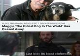 BLOG.THEANIMALRESCUESITE.GREATERGOOD.COM Maggie The Oldest Dog In The World' Has Passed Away Earth just lost its best defender.