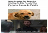 Man Arrested For Teaching His Dog To Bite People Who Fortnite Dance In Public Society Earth just lost its best defender